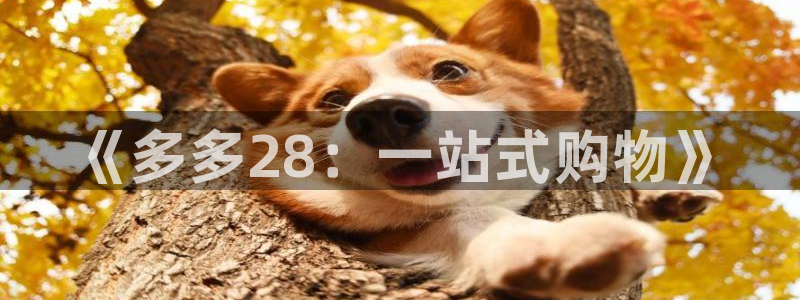 《多多28：一站式购物》