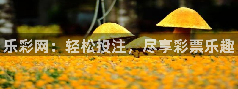 okooo澳客体育凯捷平台主管：乐彩网：轻松投注，尽享彩票乐趣
