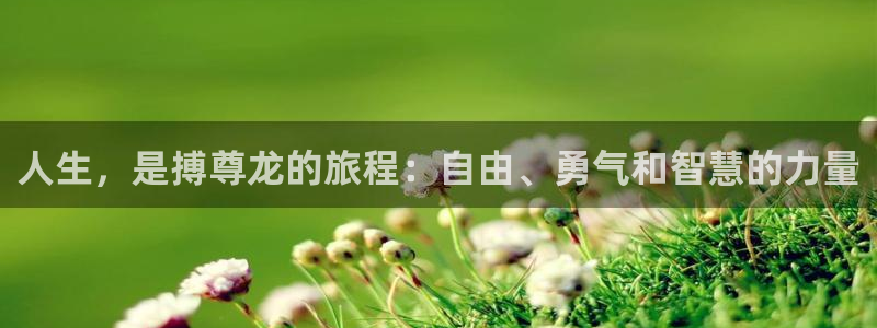 okooo澳客平台主管：人生，是搏尊龙的旅程：自由、勇气和智慧的力量